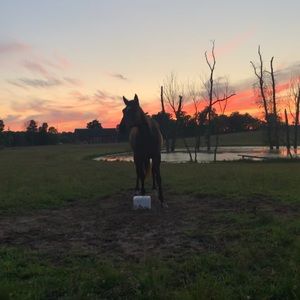 Meet your Posher, Gretchen